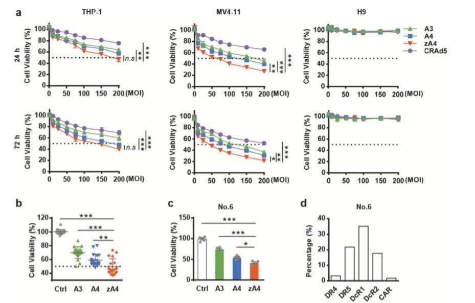 27230412139543.jpg 5.jpg