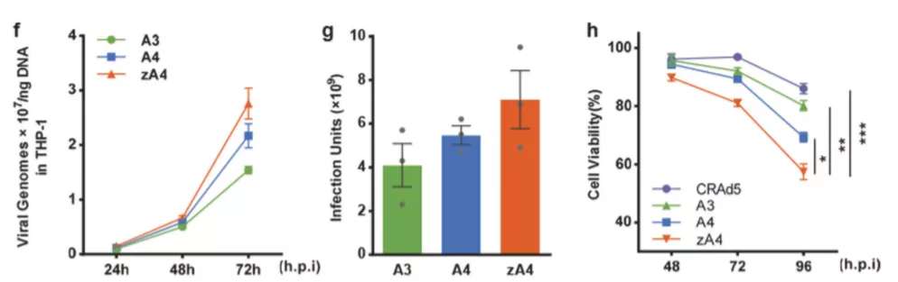 27230329570078.jpg 4.jpg