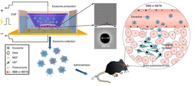 18125402169313.gif image006.gif